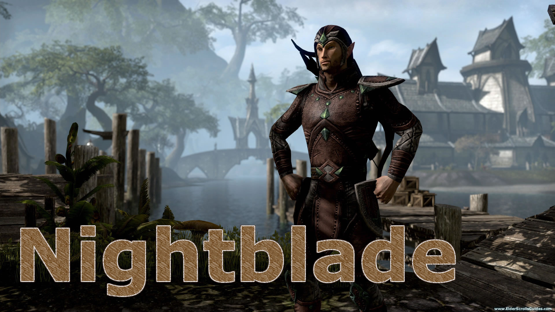 Stamblade PVE Leveling Build » ESO Academy